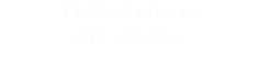 SERVICIO LOCAL
Y FORANEO.